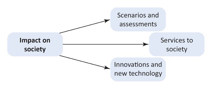 PEEX structure SocietyDimension NEW