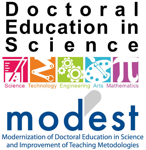 modest training dec2020 fig